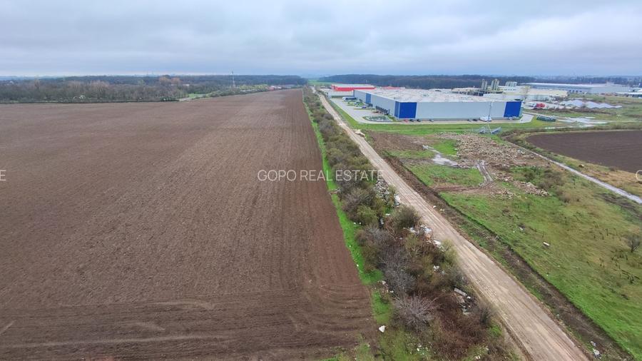 Teren Intravilan Centura Pantelimon Moara Domneasca - 5