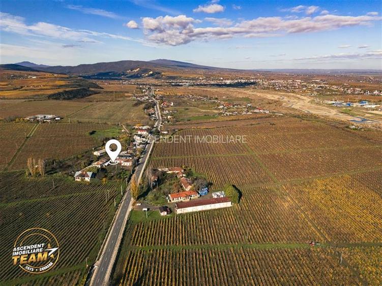 FILM! Casa boieresca autentica,domeniu de 4.000 mp intravilan,in podgoriile Odob - 7