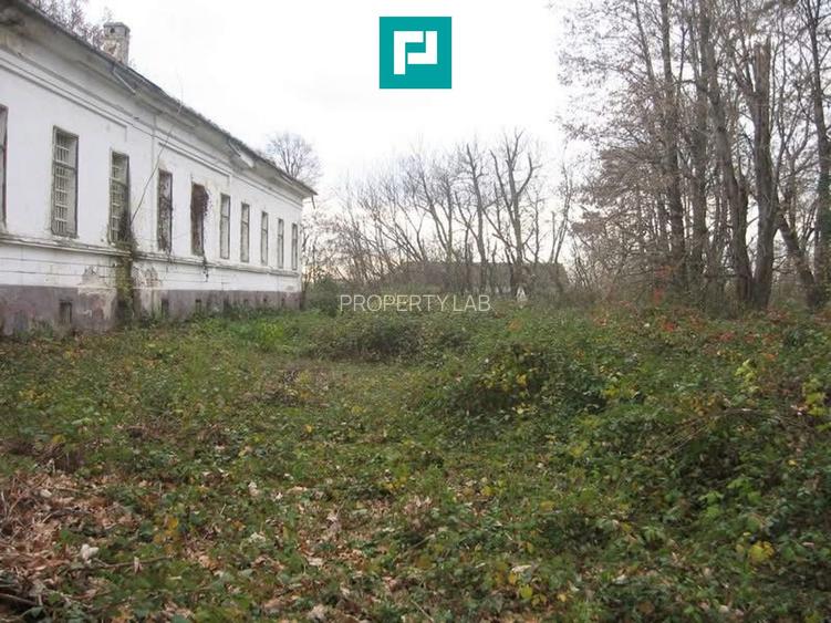 Conac nobiliar de secol XIX cu 8 camere în Maciova - 30