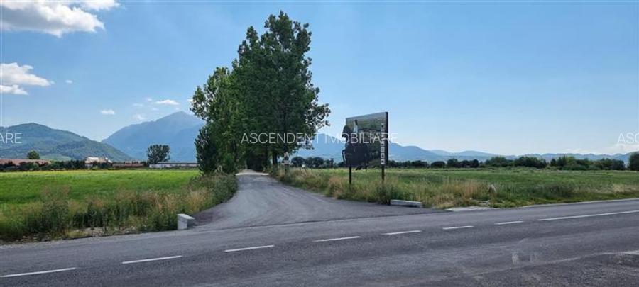 FILM! Parcela imprejmuita,design casa,aviz constructie,1.085 mp,Panicel,Rasnov - 11