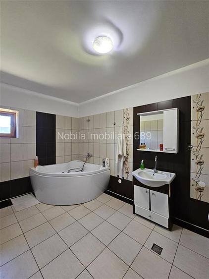 TEREN INTRAVILAN DEVANZARE 33161 MP DE VANZARE TARGU OCNA - 17