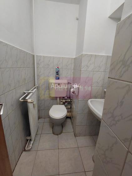 Vanzare apartament bd Unirii, vedere exclusiv la bulevard - 10