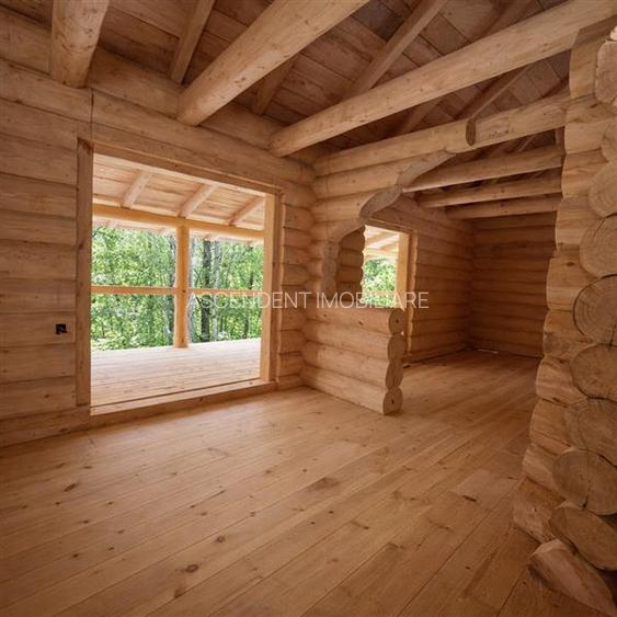 3.000mp de incantare montana cu cabana din lemn masiv, Zarnesti Tohanita - 5