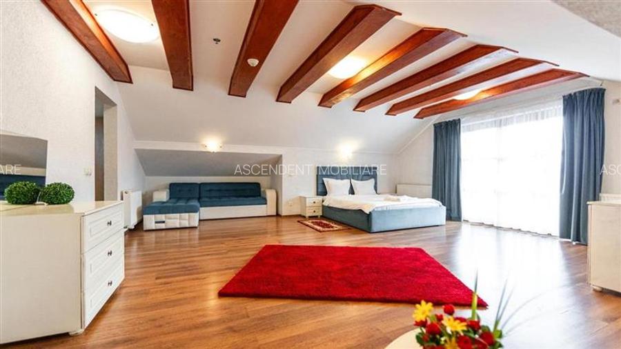 Domeniu turistic, zona pitoreasca, priveliste, aer curat, conditii speciale - 6