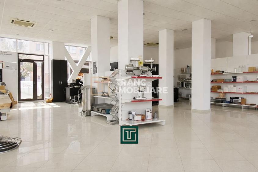 Clădire premium cu fațadă integral vitrată – oportunitate unică in Arad - 17