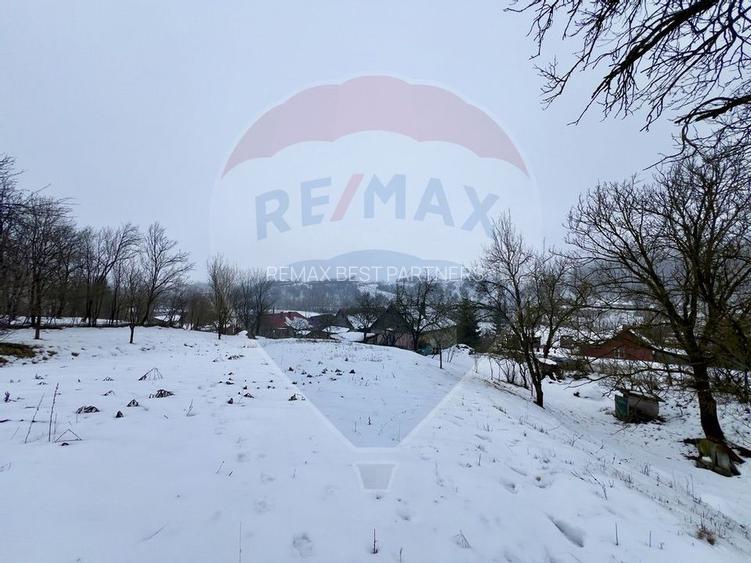 Casa cu 2 camere si teren 4887mp de vanzare in Dabaca - 6