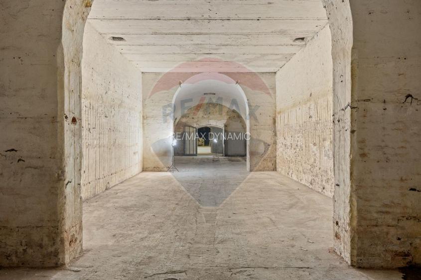 Spațiu comercial tip pivniță – zona Aradul Nou - 3