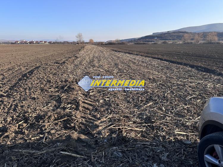 Teren intravilan de vanzare in Sard suprafete 600-800 mp - 4