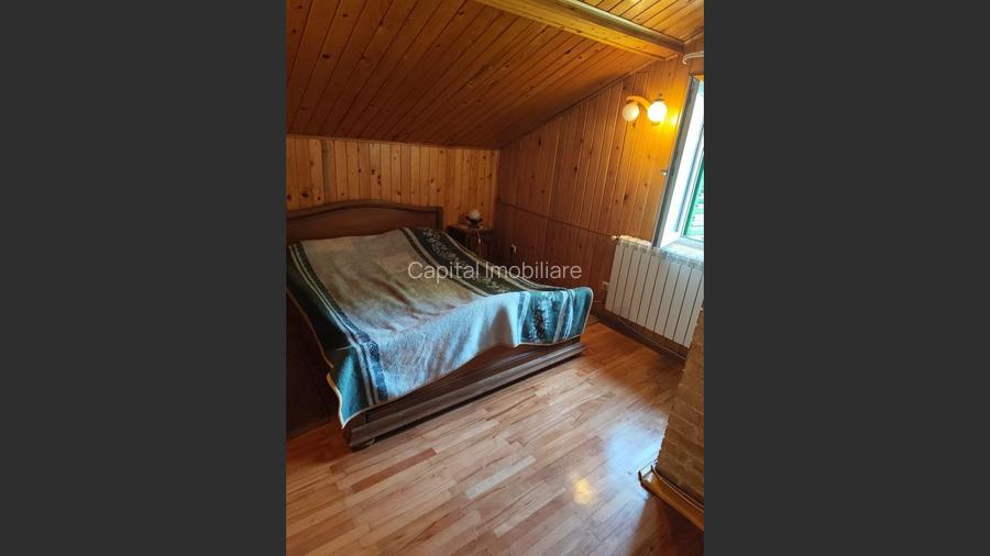 Vila superba 7 camere, Provita de Jos, 22.000 mp teren - 21