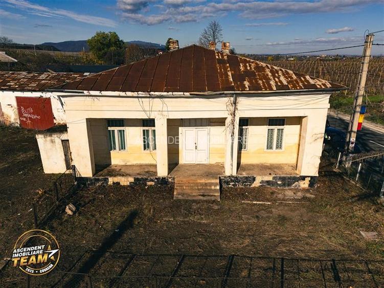 FILM! Casa boieresca autentica,domeniu de 4.000 mp intravilan,in podgoriile Odob - 12