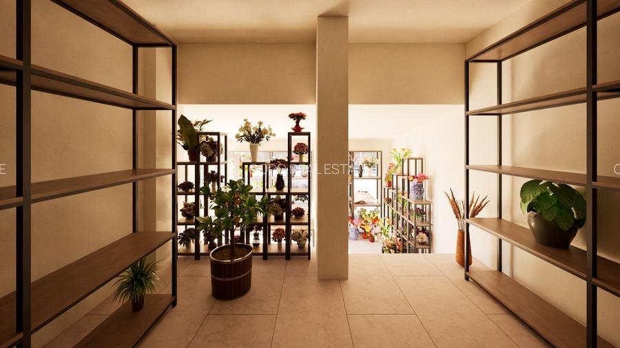 Spatiu comerciale Piata Domenii - 3