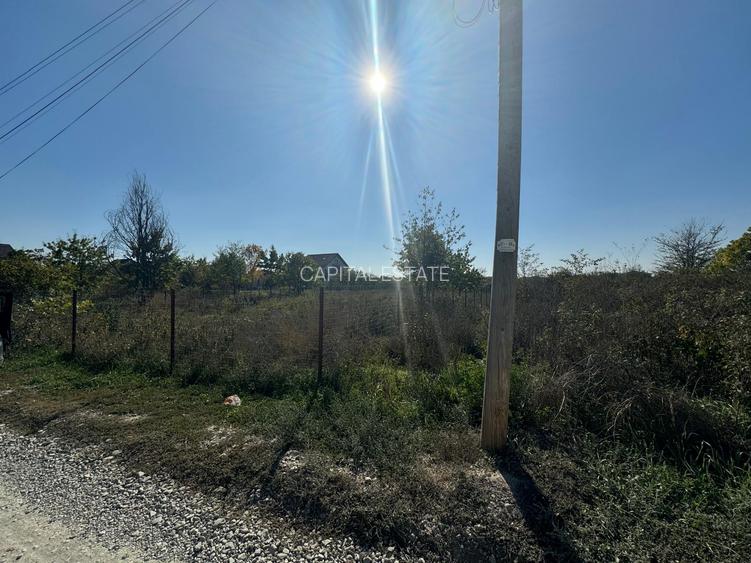 Teren Interesant Mogosoaia - 4