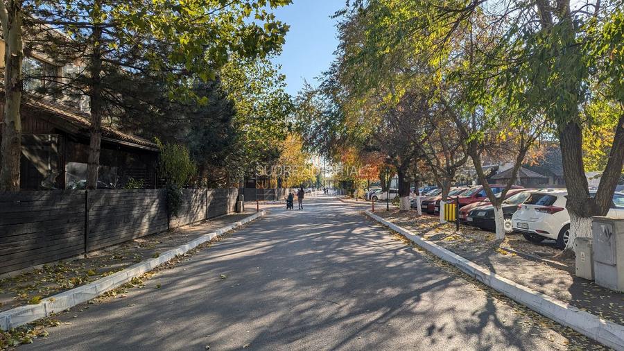 Teren 19.470 mp, investitie ideala, Green City -1 Decembrie, Ilfov - 15