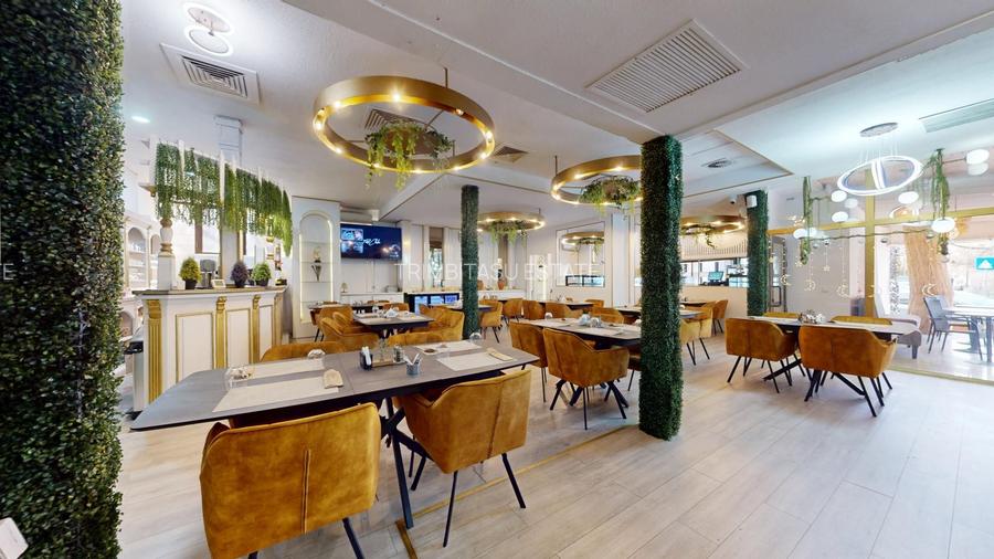 Spatiu comercial cu teren Arcul de Triumf - 4