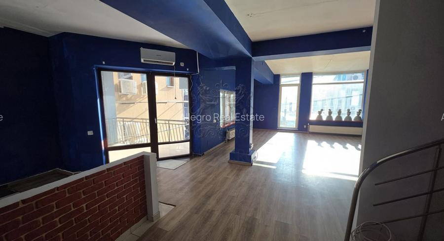 Dorobanti | Vila Individuala | 7 camere | Terasa - 12