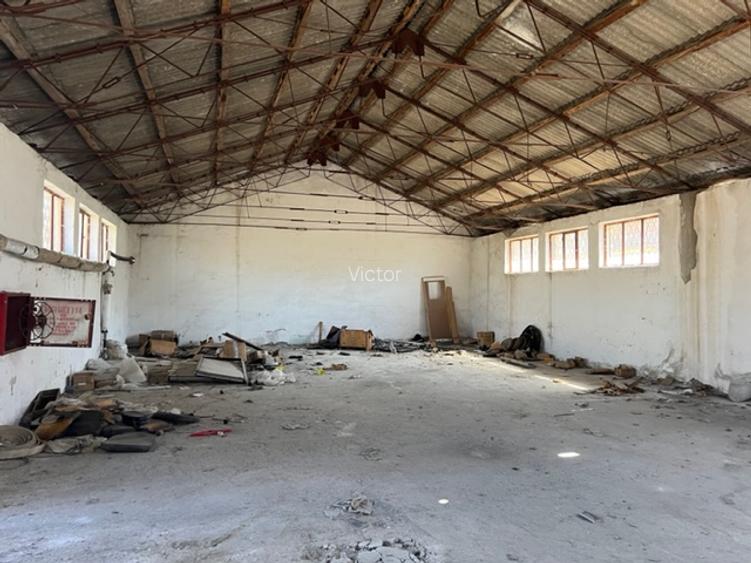 Vand Hale si Teren - 3