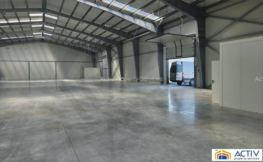 Hala moderna de inchiriat Ungheni-Targu Mures - 4