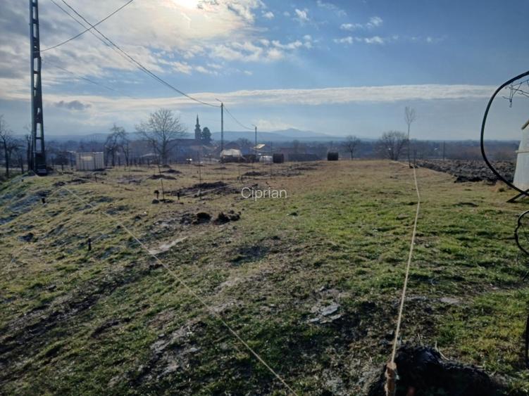 Teren invilan de vanzare - 4