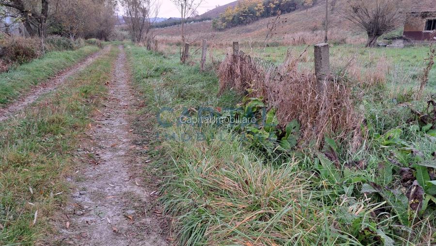 Teren plan 4800 mp cu casa demolabila, centru Corpadea, Apahida - 9