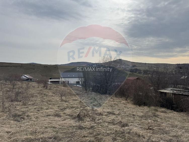 Teren intravilan 2307 mp în Salicea, zona premium, aproape de Cluj - 8