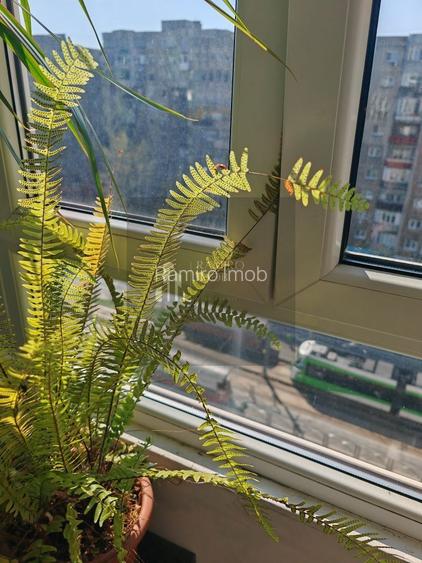 Apartament 3 Camere | Crangasi | Proximitate Metrou| Centrala Proprie - 3