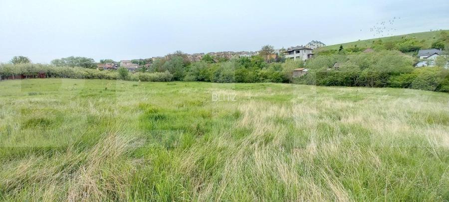 Teren intravilan, 1075 mp, utilitati in zona, Dezmir - 4