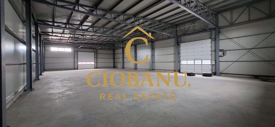 Hale industriale+Cladire de Birouri de inchiriat zona Aeroport