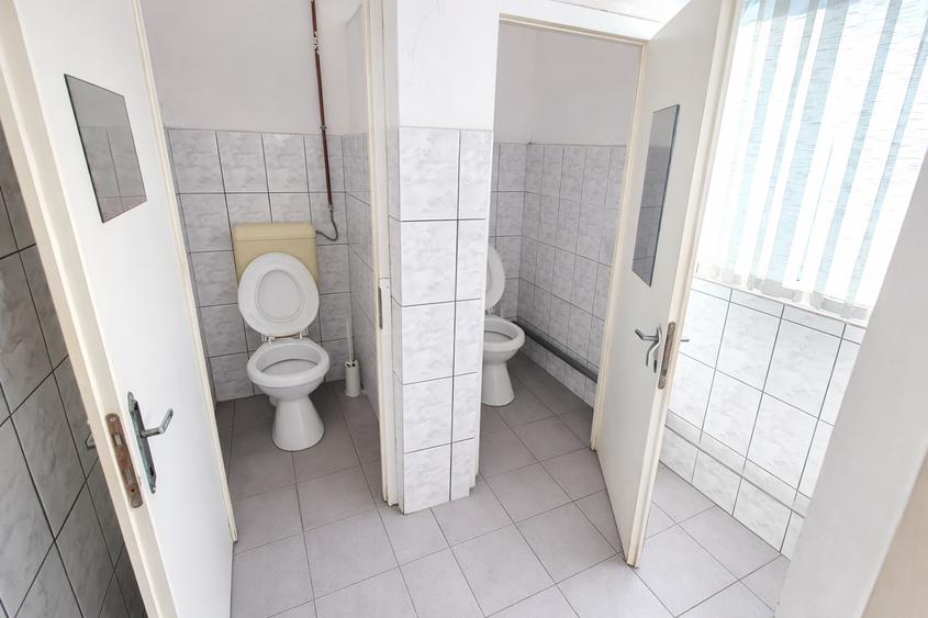 Inchiriez hala zona Sanicolau Mic ID:RH-43064-property