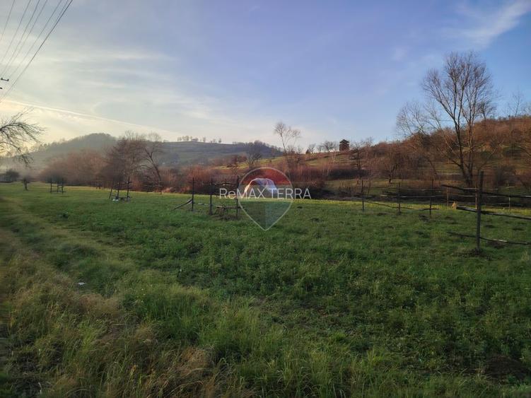 Teren intravilan-2.600 mp în Bârsana | 100 ml deschidere | Comision 0 - 4