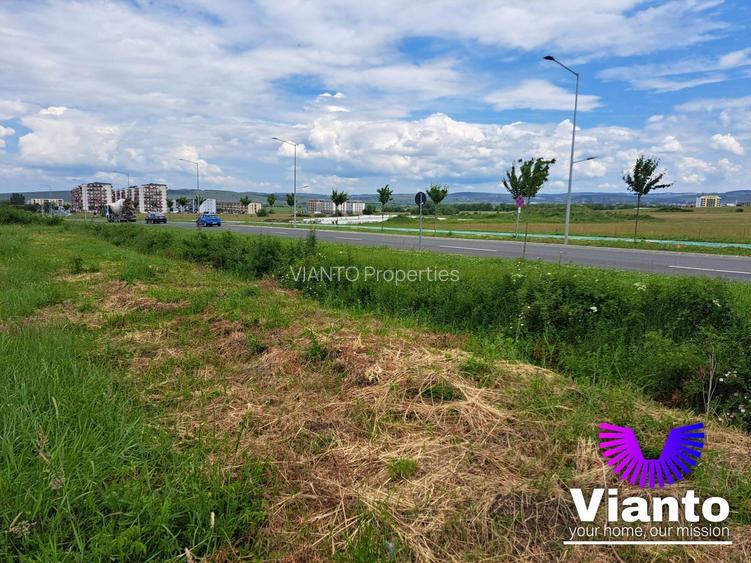 Oportunitate Teren Intravilan 9000mp-Turnisor - 3