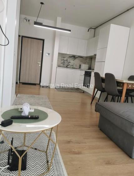 TOMIS PARK VIVO 2 CAMERE RENOVAT 500 EURO TERMEN LUNG