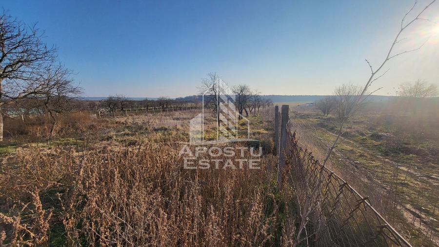 Teren de 3844 mp cu proiect autorizat pt casa individuala,in Pischia,
