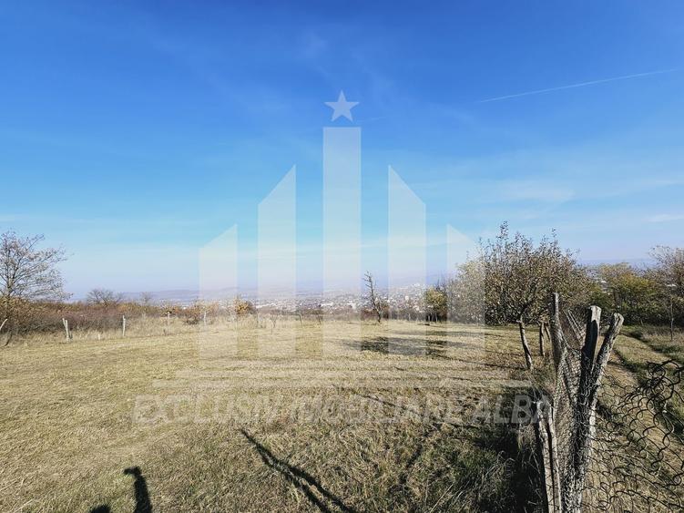 Teren intravilan | De vanzare | 700 mp | 31 ml deschidere | Podei