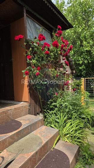 Domeniu rural, gospodarie/multifunctionala cu casa, livada, vie - 34