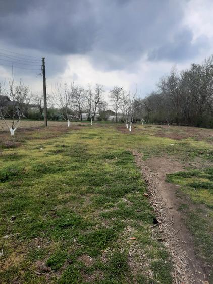 Teren intravilan 25255  m² - Central