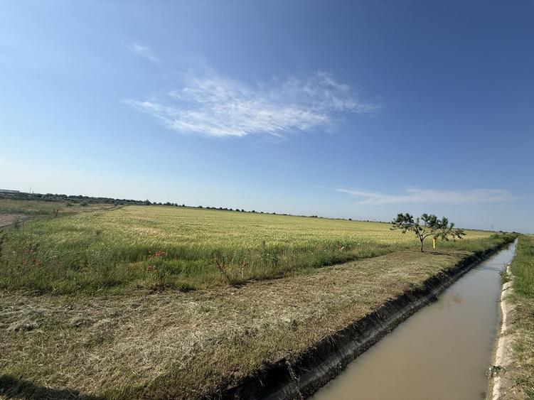 Teren 10 hectare pretabil pt panouri solare-Aricesti Rahtivani