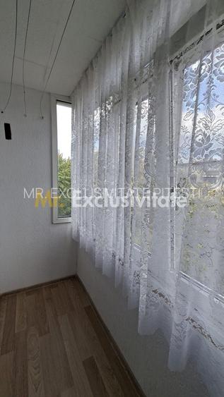 Inchiriere apartament 2 camere Craiovei mobilat si utilat - 9