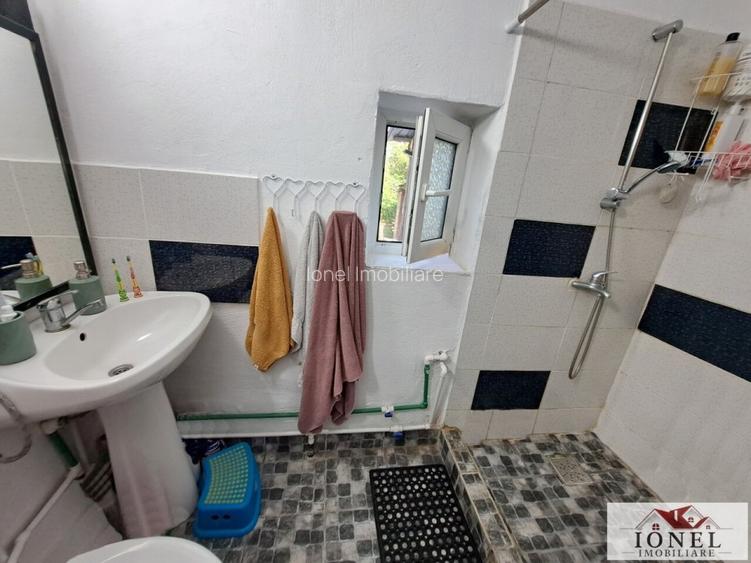 Vanzare casa cu 19.549 mp teren in Vintu de Jos - 5