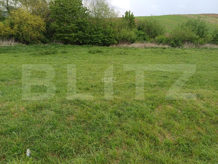 Teren de vanzare extravilan, 50 ari, Cumparatura - 4