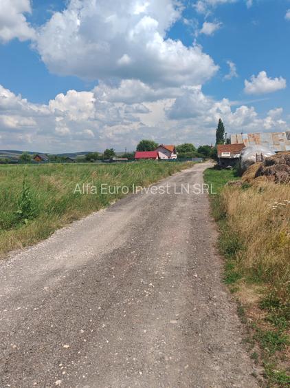 Teren Intravilan de vanzare - 5