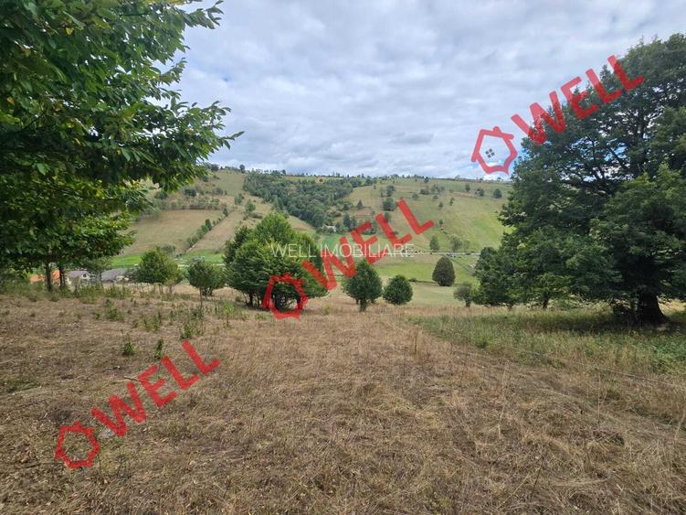 Teren de vânzare în Barcani, zona Nadeș! - 3