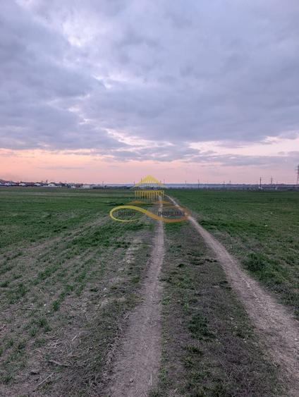 TEREN INTRAVILAN IN LILIECI, BACAU