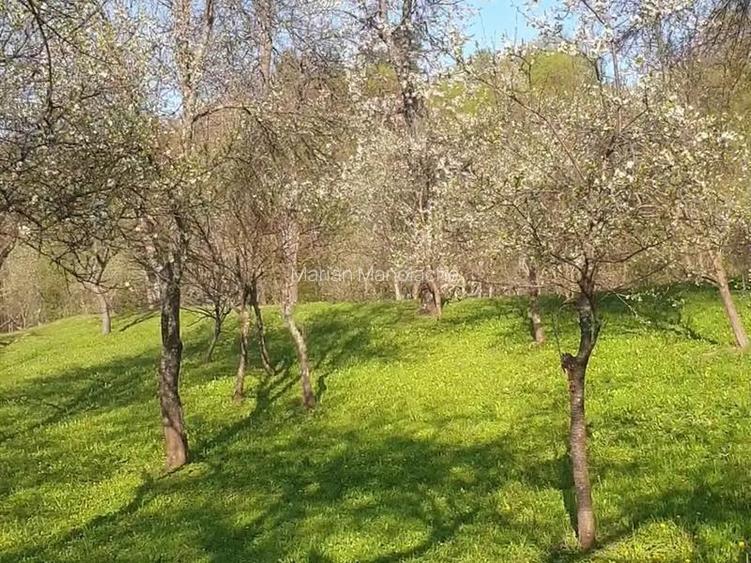 2 camere, 4000 mp,langa lacul Vidraru