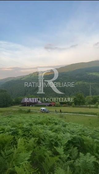 Teren 10.900mp | Panoramă în Apuseni | Remeți -Ideal pentru Investitii - 8