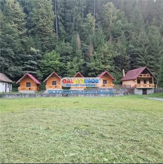 Pensiune cu teren de 5000 mp, si pastravarie, Neamt, Borca - 2