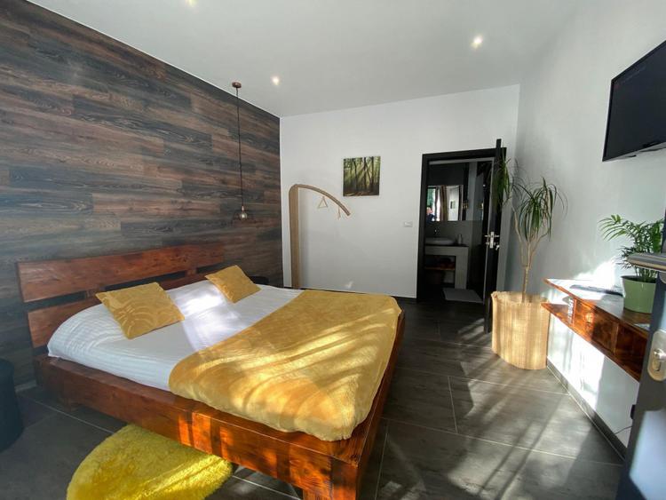 Casa Lux Mediteraniana cu 1620 mp. teren mobilata utilata CETATE cazare pensiune