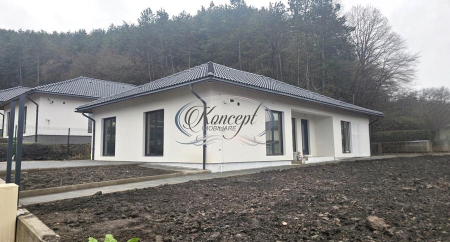 Casa individuala pe un nivel, in Popesti