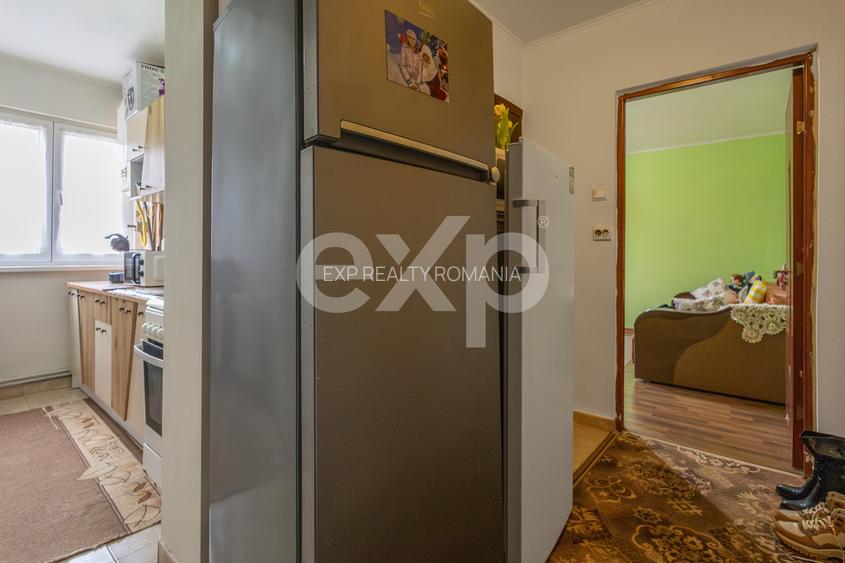 De vanzare apartament 2 camere in Buzias - 3