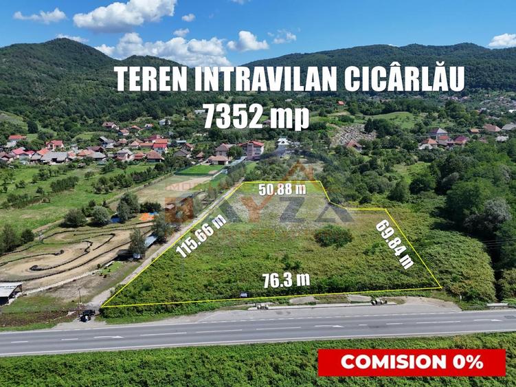 Teren intravilan 7352 mp, cu Deschidere 76.3 m la Șoseaua Națională - Cicârlău