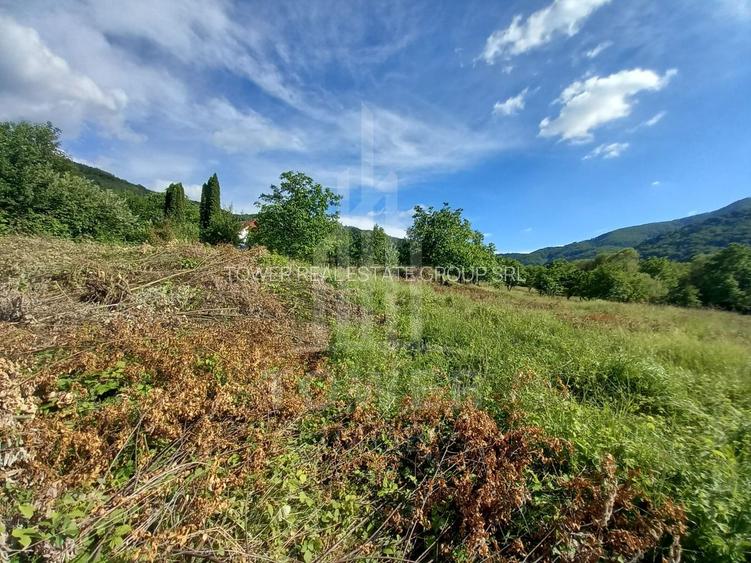 Teren în Fântânele – 3.673 mp, pârâu si cadru natural  deosebit - 12